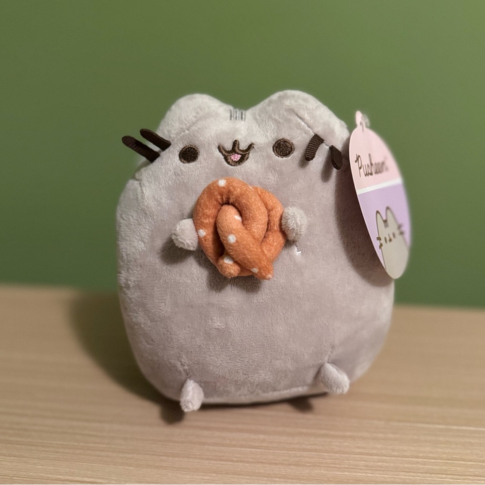 Pusheen the Cat holding Pretzel 🥨